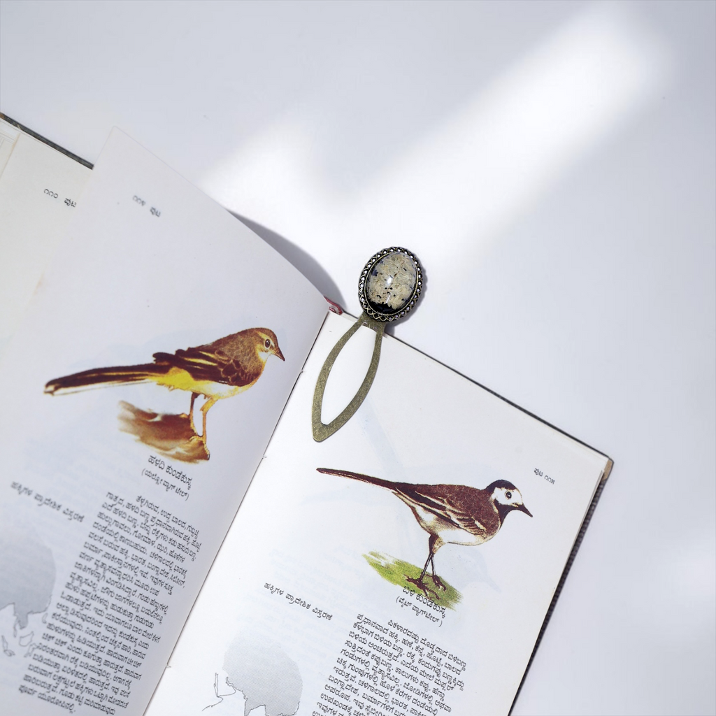 Cotton Candy Fern Bookmark
