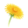 Juana logo